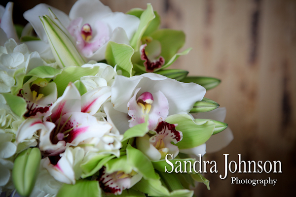 Best Paradise Cove at Buena Vista Watersports in Orlando, Florida wedding photographer - Sandra Johnson (SJFoto.com)